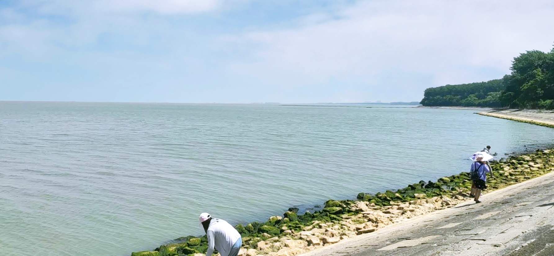 1690874590720436.jpg 4.jpg